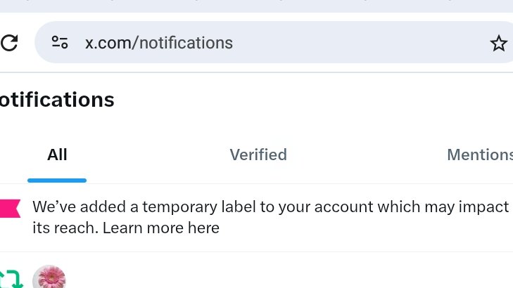 Sarah_Solidarity tweet media