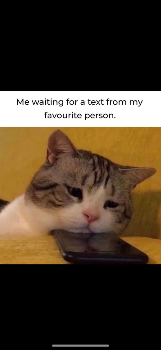 Disturb me, update me, tell me how your day was, because I like your notifications on my phone
#صاحب