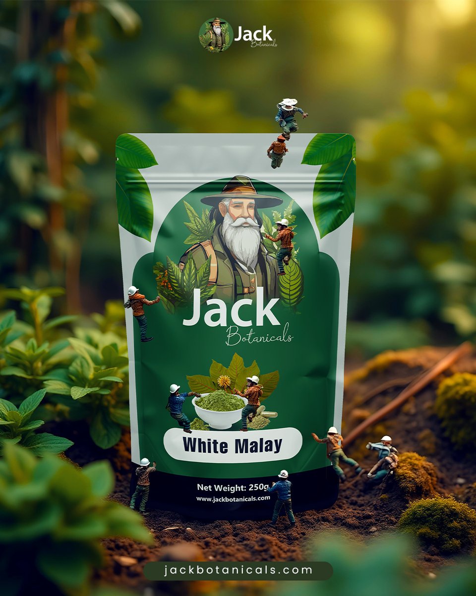 jackbotanicals's tweet photo. Not all heroes wear boots.
Some come in a bag 🌿💥
⚡ White Malay
✅ Clean energy
✅ Crisp focus
✅ 250g of plant-powered clarity
➡ https://t.co/AVnPT1mC6V
#WhiteMalay #KratomEnergy #JackBotanicals #HerbalSupport https://t.co/m2wVUrBcXp