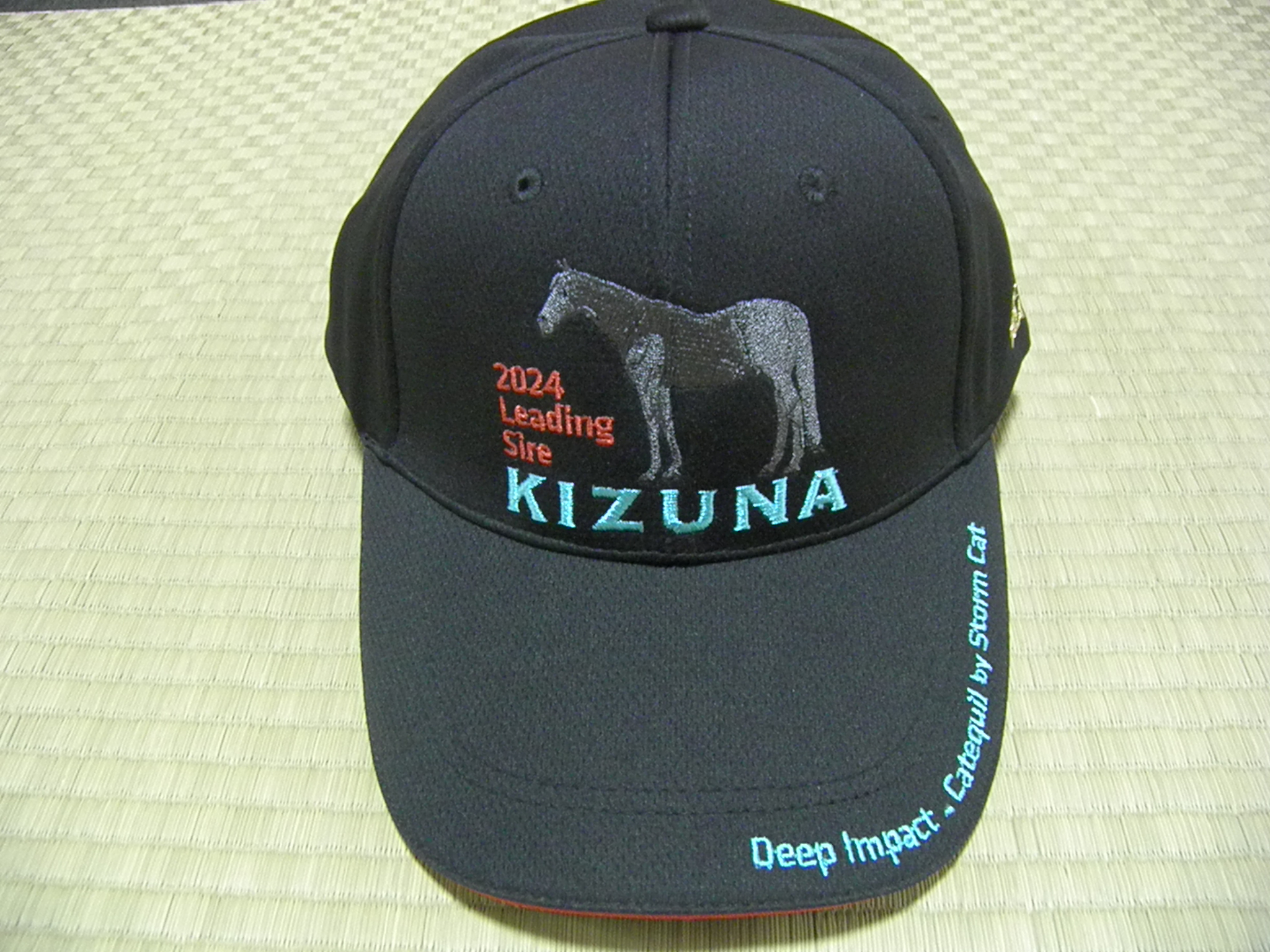 キズナ キャップ 2024年リーディングサイアー キズナ キャップ 2024年リーディングサイアー 2024年距離別