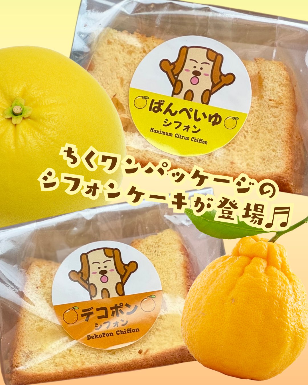 楽天市場】【送料無料】スイートオーケストラ わらく堂