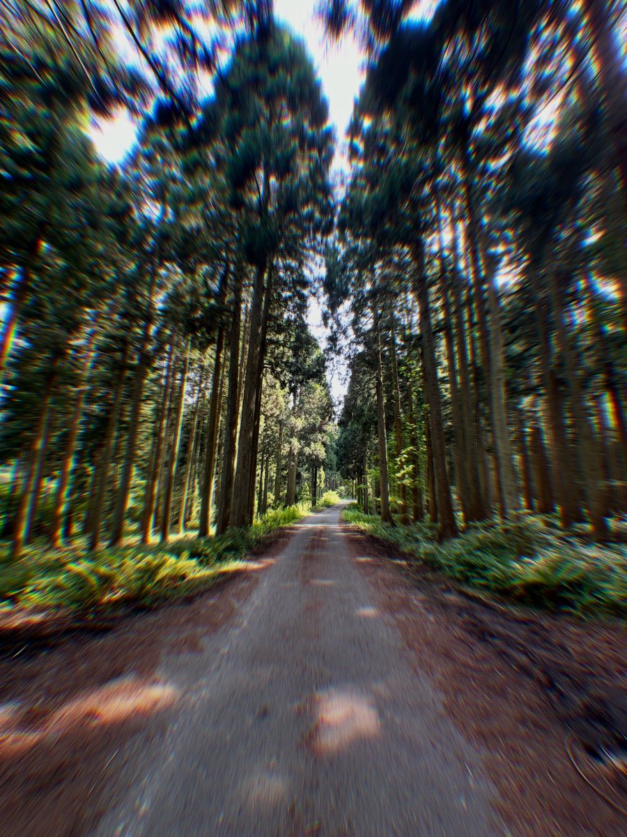 滋賀県の奥地にあるこの場所、何年経っても落ち着くいいところ🌲