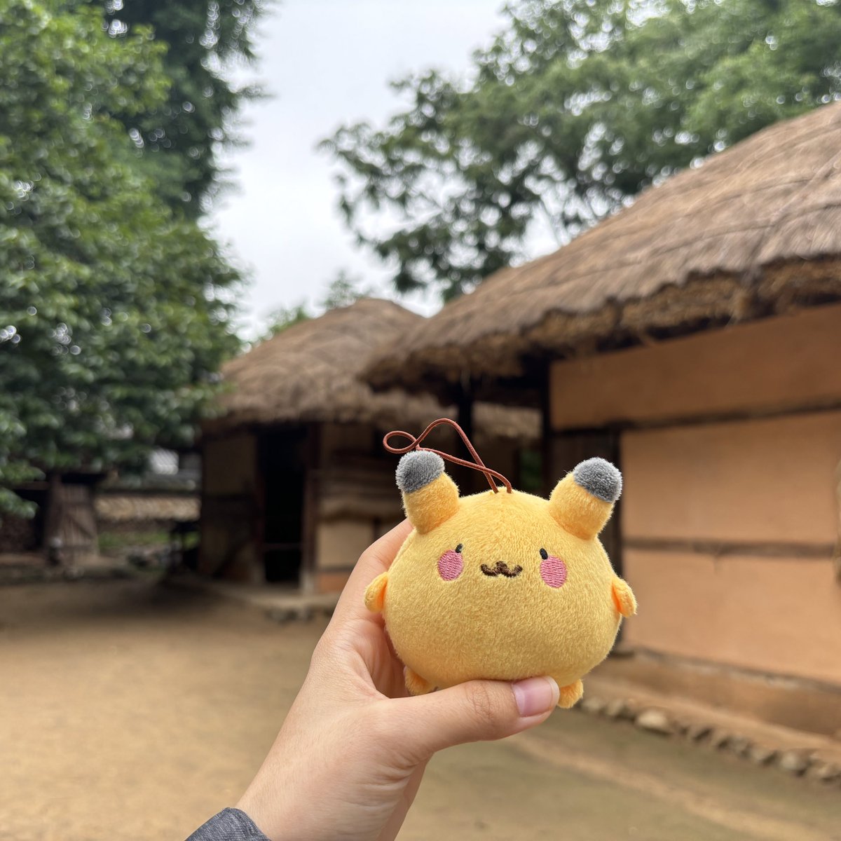 PorbTravels's tweet photo. more seoul adventures
#porbtravels https://t.co/YB3FsvpQUz
