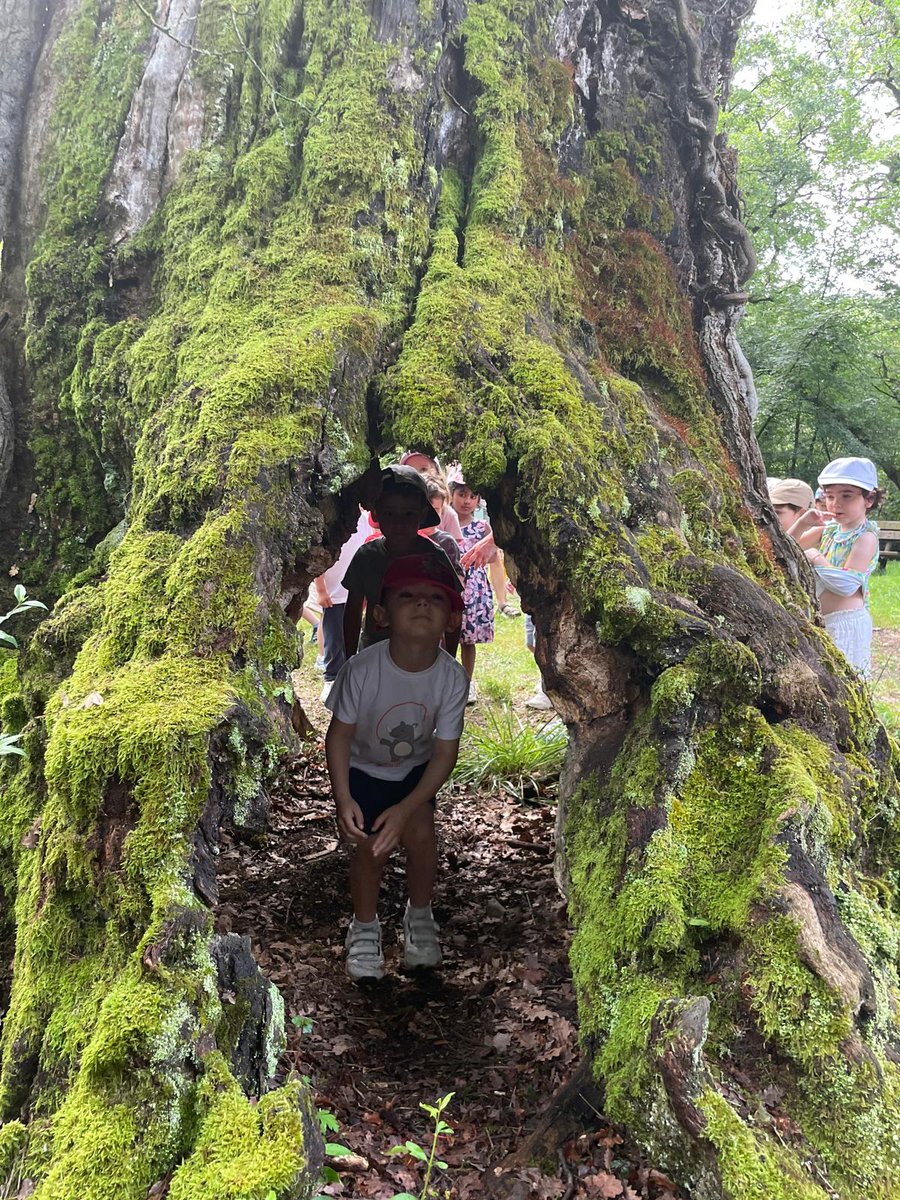 Nuestros peques de 3 años disfrutaron muchísimo de su salida fin de curso a Zuasti.
#colegiosancernin #educacióninfantil #salidasfindecurso