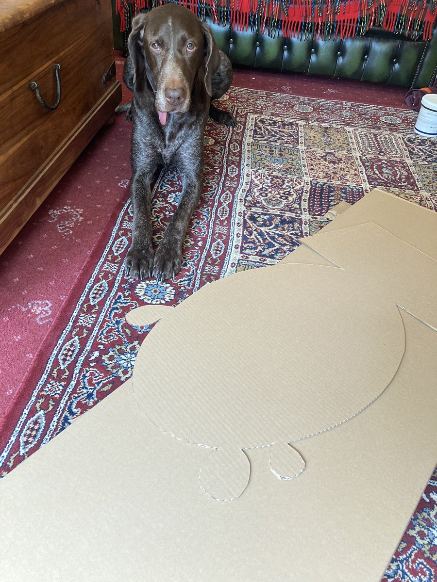 Frieda von Pup tweet media