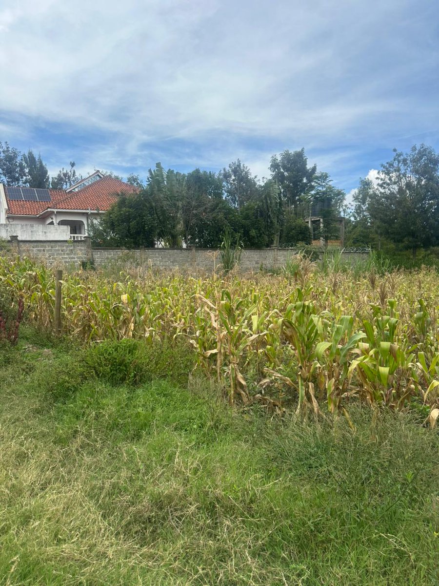 Chuts π¦
(@chuts_25) on Twitter photo Selling an eighth (50*100) at matasia, second row from the mainroad. At 3.5m ideal for flats <a href="/AmosMwaora/">Amos Mwaura</a>
Unaeza taka ku set up Heven Suits murwa huku.
0725092233 Selling an eighth (50*100) at matasia, second row from the mainroad. At 3.5m ideal for flats <a href="/AmosMwaora/">Amos Mwaura</a>
Unaeza taka ku set up Heven Suits murwa huku.
0725092233