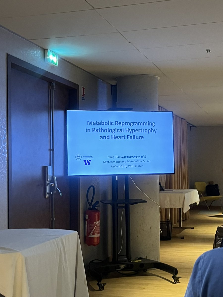Society for Heart and Vascular Metabolism (@soc_hrtvasmetab) on Twitter photo Full house for the #keytonelecture from Dr. Rong Tian this morning 🫀 Full house for the #keytonelecture from Dr. Rong Tian this morning 🫀