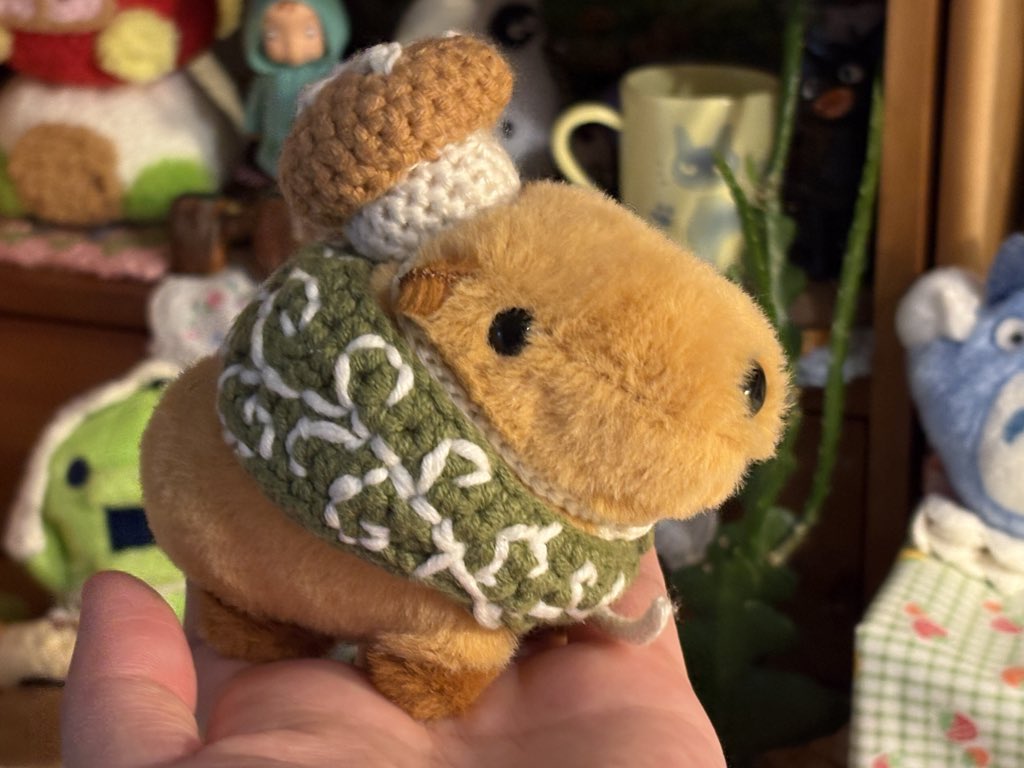 카피바라 옷입혔는데
카피바란지 당나귄지.. 소리 들음
(；ω；)