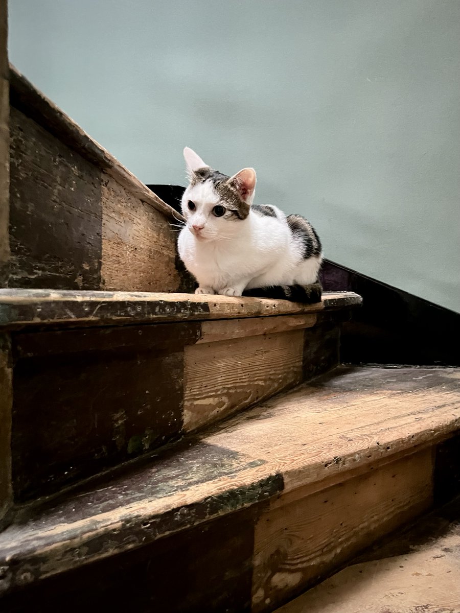 Upstairs, downstairs