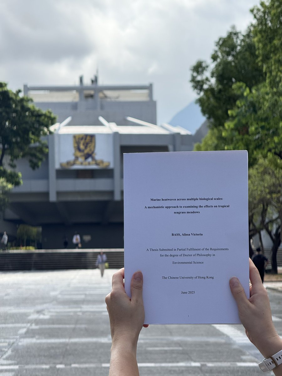 Alissa Bass tweet media