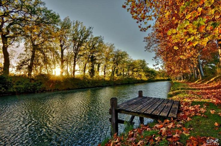 صباح الخير:
وَمَنْ لا يُكَرِّم نَفْسَهُ لا يُكَرَّمِ