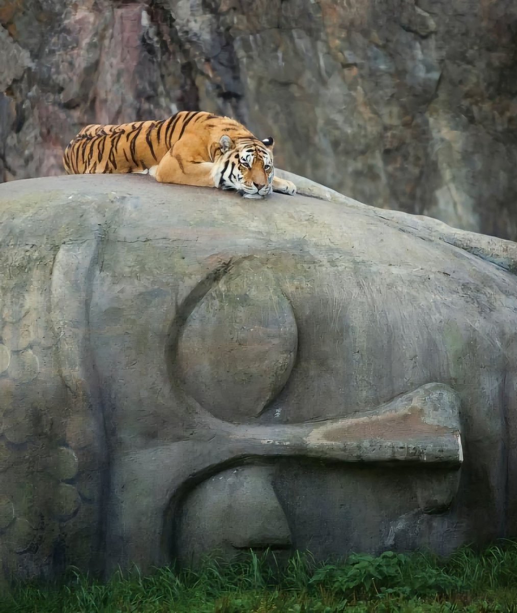 सुप्रभात  🌄 
नमो बुद्धाय। जय भीम।