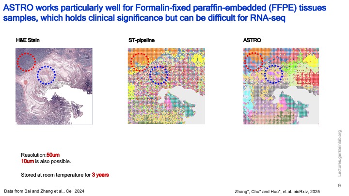 MarkGerstein's tweet image. Posting my talk tomorrow at the SCORCH consortium meeting lectures.gersteinlab.org/summary/ChronO… Tools for brain single-cell analysis: ChronODE for series data and ASTRO for spatial data. Lots of new slides from @dingyao_zhang