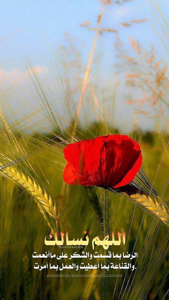 🖌️أصبحنا وأصبح الملك لله ربالعالمين  
#اللهــم صباحاً جميلاً مباركاً وارزقنا فيه راحة و سعادة #وتوفيقـاً يصاحب سيرنا في كل سبيل نسلكه,, 🍃🌸🌺
🖌️صباح الذاكرين المتوكلين الشاكرين
        🔸#صبــاح_الخيــــر🔸