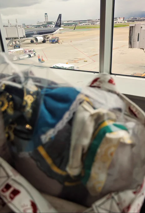 パッキング済もちきり……飛行機だよ