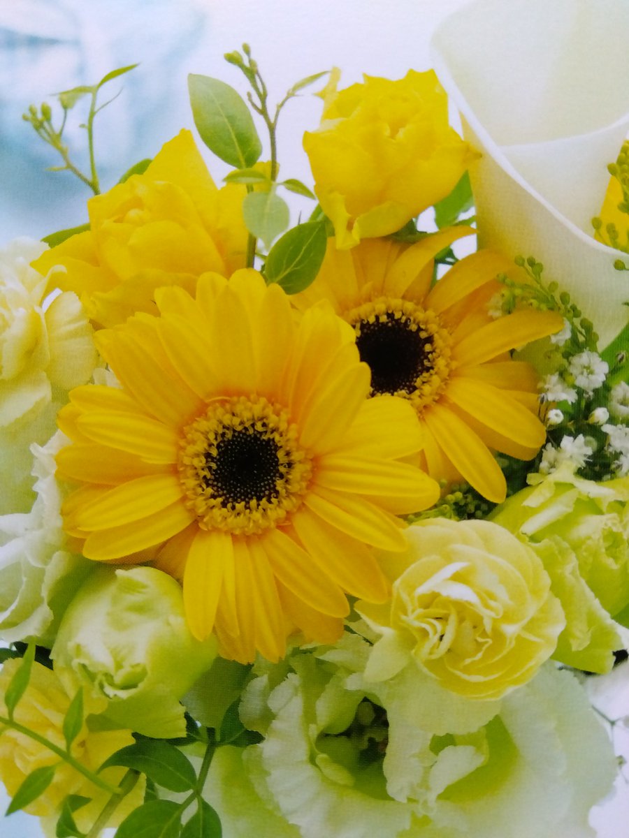 おはようございます🌻

気温や湿度が身体の負担になりやすい時季なので体調に気を付けてお過ごし下さい🏝️

今週も頑張っていきましょう🍨