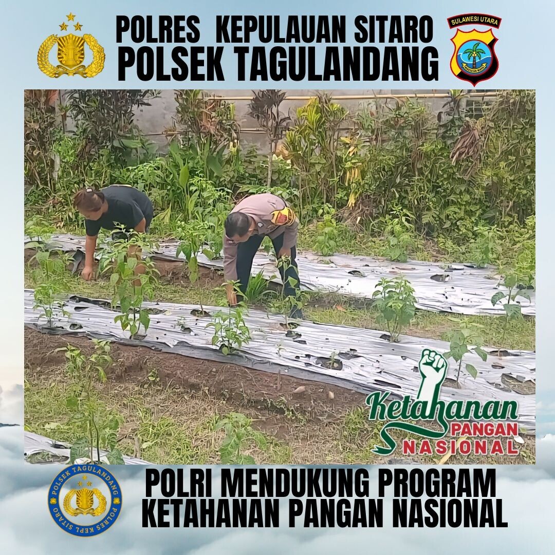 putrayws's tweet image. POLSEK TAGULANDANG POLRES KEPL SITARO MENDUKUNG PROGRAM KETAHANAN PANGAN
#astacita
#swasembadapangan
#ketahananpangan
#polirimendukungketahananpangan
#polisicintapetani
#swasembadapanganpoldasulut
#ketahananpanganpoldasulut
#ketahananpanganpolreskepulauansitaro
#poldasulut
#sulut