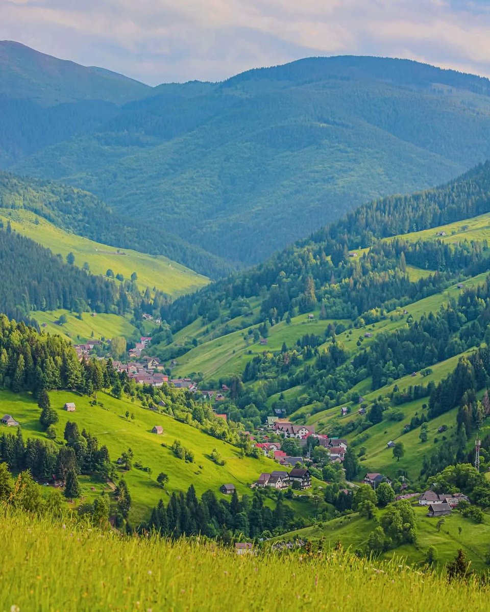 xyzwtf_55's tweet photo. Good morning everyone 😊
#photography
#photographer
#Fundata🇷🇴 https://t.co/rT8ZbDDJsh