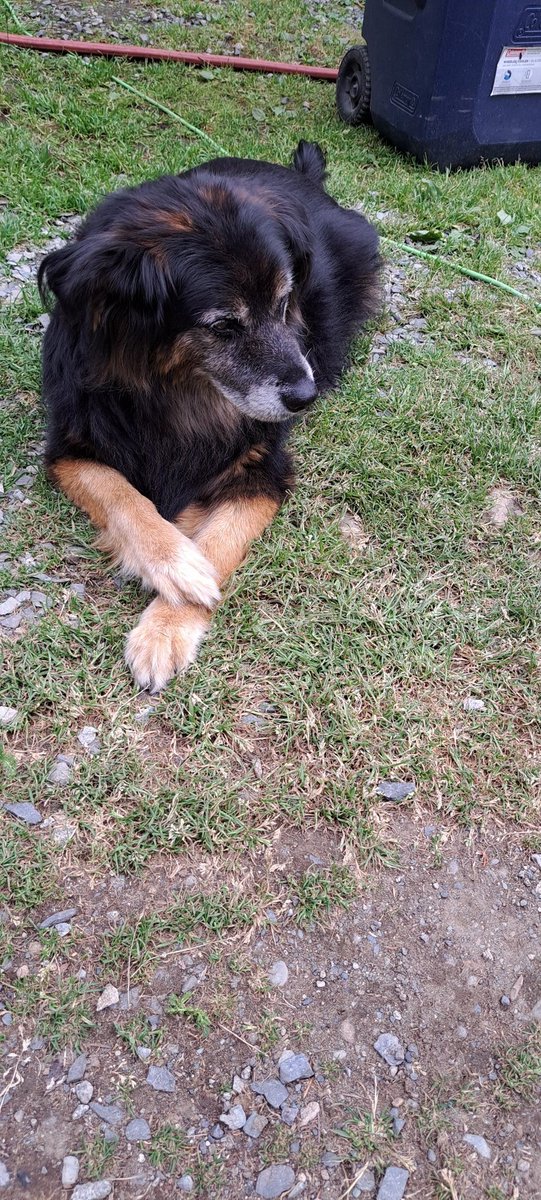 Such a distinguished woman