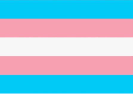 CameraCam16924's tweet photo. Honorable mention:
Ribbit’s color scheme is blue(ish green), pink, and white which are also the colors of the trans flag! https://t.co/FrCnsw0W4p