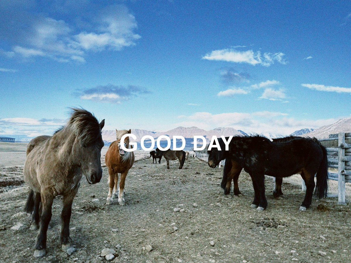 GoodDayReDesign tweet picture