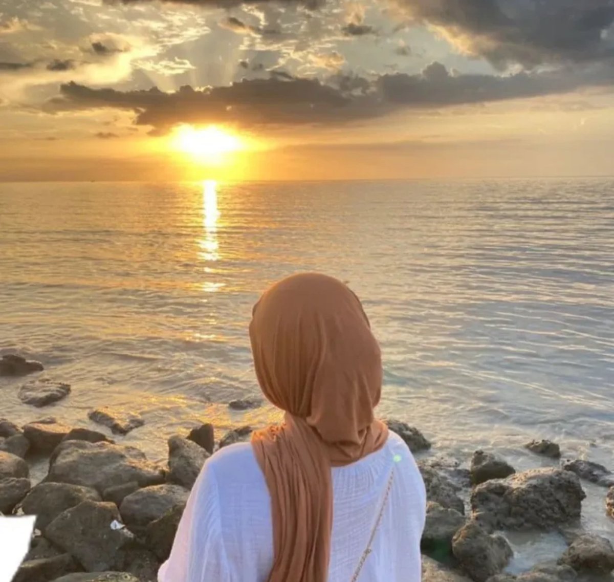 أكرمت قلبي بالرضا ،فعاد لي بالطمأنينه 💜
#صباح الخير