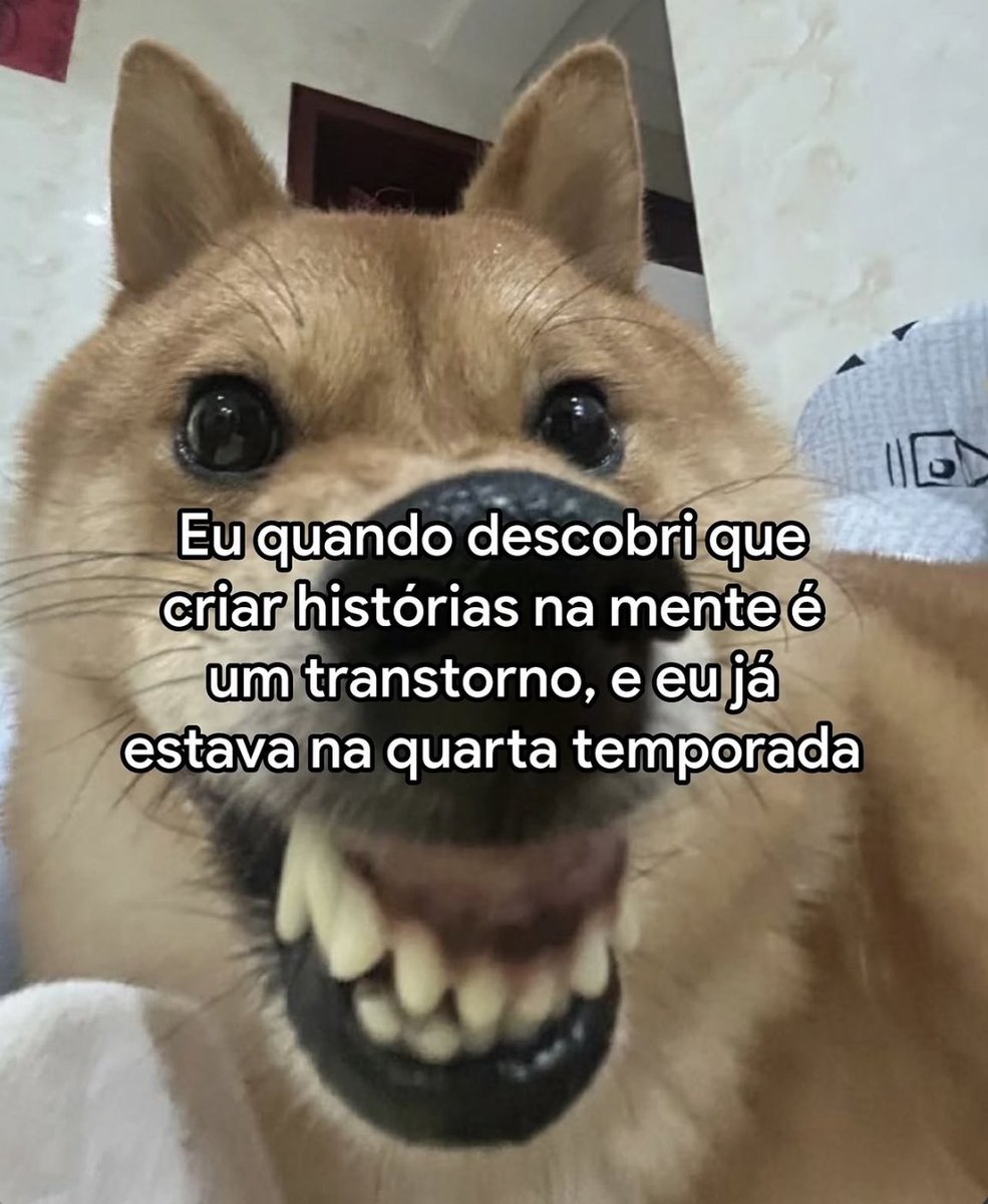 musa dos meme (@musadosmeme) on Twitter photo 