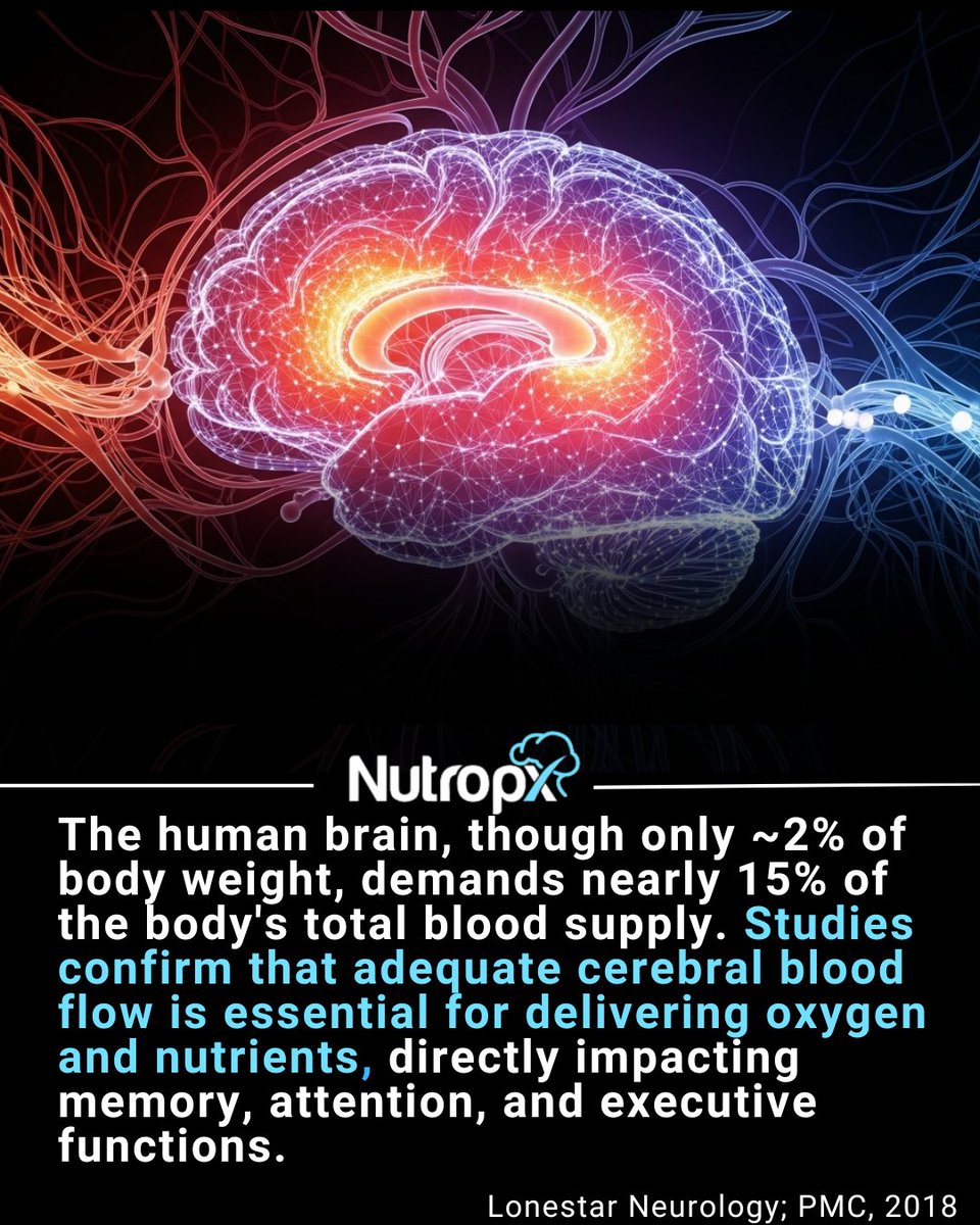 nutropx's tweet image. Consistent fuel delivery to neurons ensures your brain operates at peak efficiency, preventing mental fatigue and supporting overall cognitive performance #Nutropx #5Brain