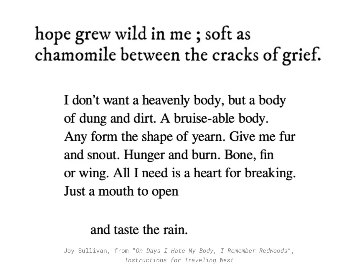 issue no. 58 of rabbit holes is out 🕳️🐇 vibes: