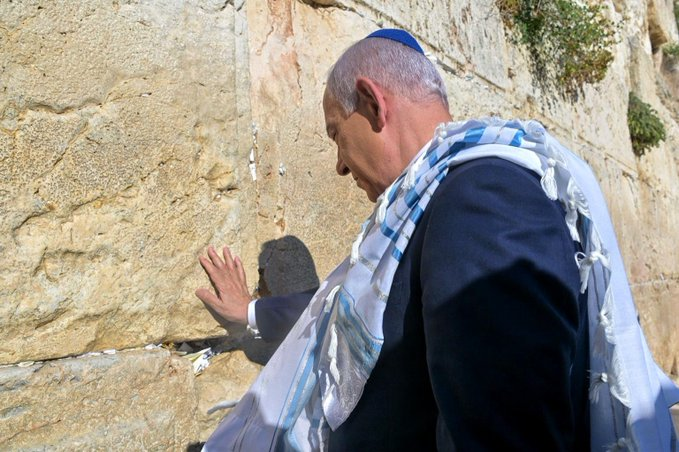 Vivid.🇮🇱 tweet media