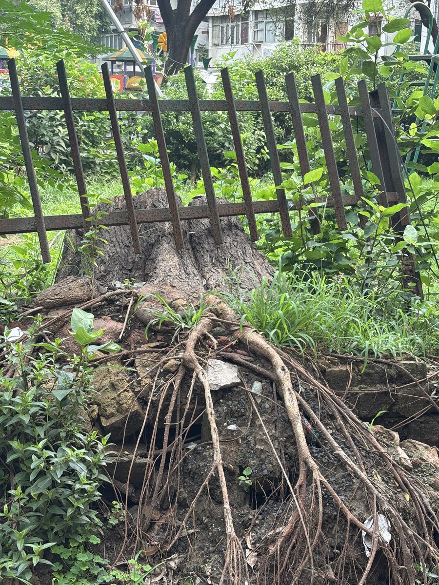 Devashish tweet media