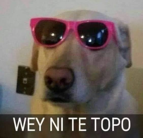 iomerakawamera's tweet photo. Los millennials y la nueva generación peleándose solos con Plutarco y van PERDIENDO jajaja
Plutarco tipo: 
#MasterChefCelebrity https://t.co/VZoSP57j1H