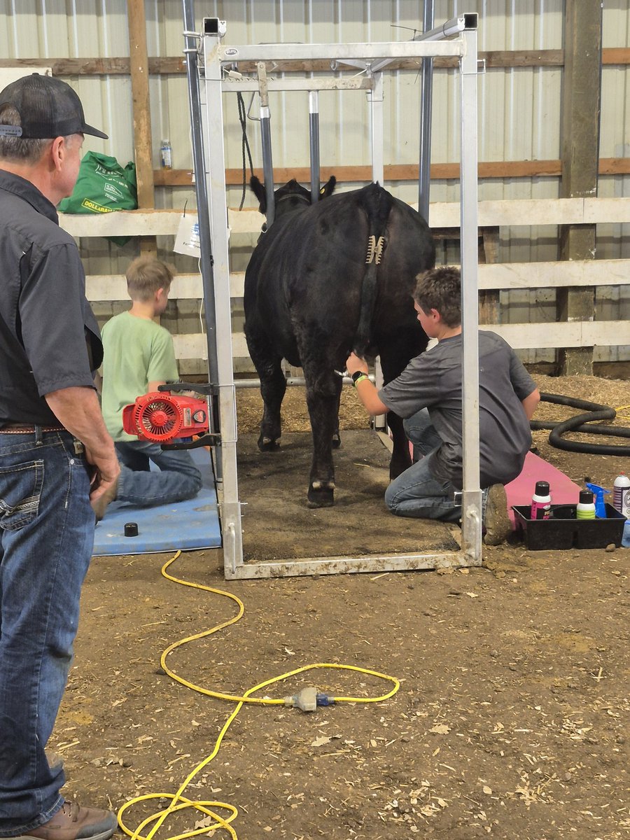 We finished the Fit Like A Pro #4H club weekend with a fitting competition. 30 minutes to prove to <a href="/KirkStierwalt/">Kirk Stierwalt</a> that you and your partner were the best in your age group! Lots of fluffy cow and sweaty kid faces. Thank you to all our sponsors.