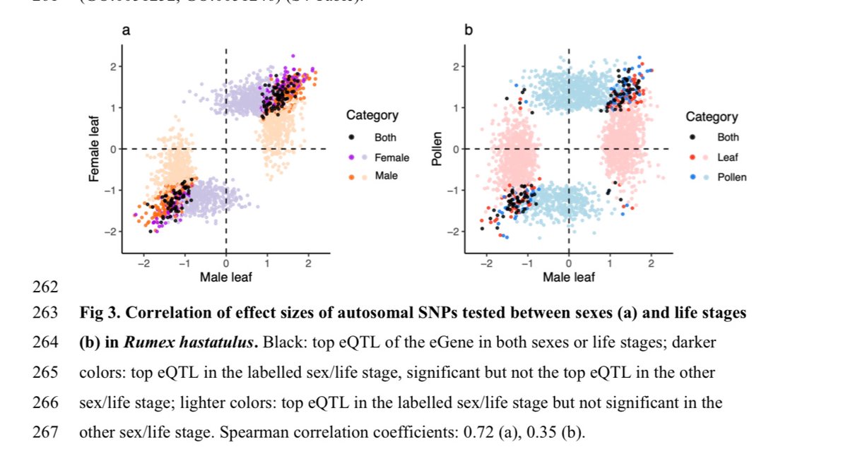 Stephen I. Wright (@stepheniwright) on Twitter photo New work led by <a href="/imengyuan/">Meng Yuan 袁梦</a> shows evidence for much greater scope for conflict between the sexes within a tissue than between life stages (pollen and leaf) within a sex, given more genetic concordance of eQTL effects between the sexes New work led by <a href="/imengyuan/">Meng Yuan 袁梦</a> shows evidence for much greater scope for conflict between the sexes within a tissue than between life stages (pollen and leaf) within a sex, given more genetic concordance of eQTL effects between the sexes