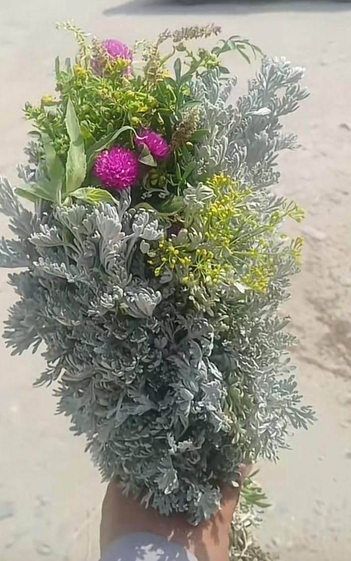 صبااح الخير