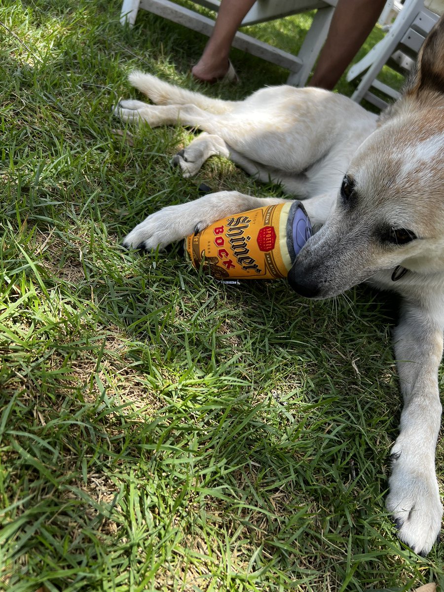 BrosBeerGuide's tweet image. Made it to @ShinerBeer today for the first time ever !  Iconic brewery and what a great day.  Nothings finer than a Shiner !  #shiner #beer #beers #Texas