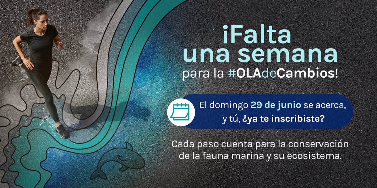 ⏳ ¡La cuenta regresiva está en su recta final! A solo 1 semana del #NIRSAOceanRun, nos preparamos para correr con propósito y sumar pasos por la protección de nuestros océanos. 💙

¿Ya sabes con quién correrás?
jplayraces.com/event/oceanrun/