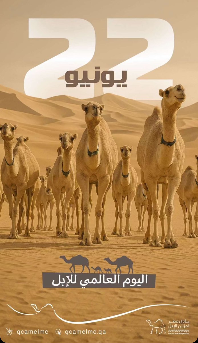 يعد هذا اليوم يومًا مميزاً
لأنه يحتضن  اليوم العالمي للابل
  هذا المخلوق الذي كرمه الله بذكره في كتابه الكريم (افلا ينظرون إلى الابل كيف خلقت)
