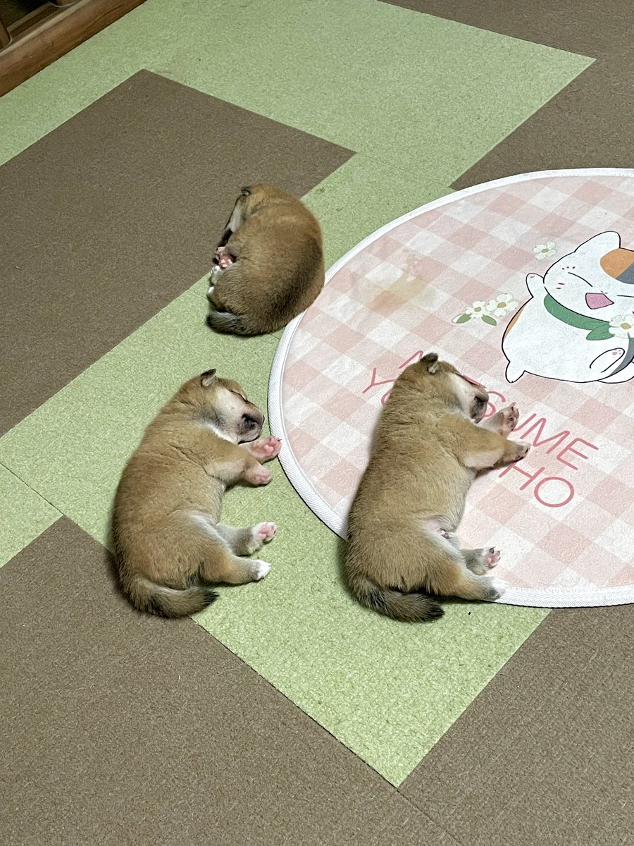 地図記号でこんなんありましたね？
当時はたくさん覚えましたよね😊
あ〜ほとんど忘れてます😅