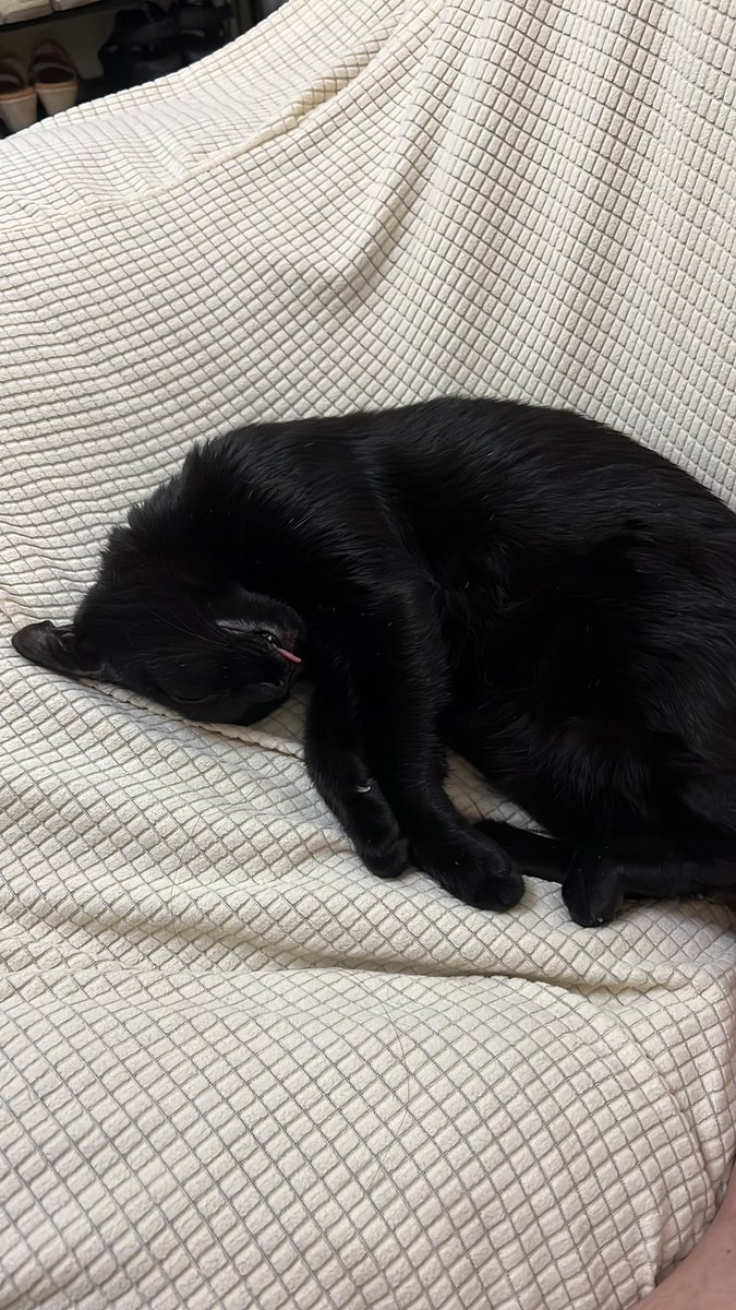 我真的是服了 推特是最爛的社交平台
沒有之一 總是把我限流 什麼也沒幹
之前有2-3K 平均也1K曝光 突然就幾百
要我怎玩 哈 馬斯克 我在問你 
Look at my eyes WHY? Tell me Why?

害我今早查數據時<a href="/cookiedotfun/">Cookie DAO 🍪</a> 
<a href="/sparkdotfi/">Spark</a> 還在前1000多名還好
<a href="/JoinSapien/">Sapien</a> 由88跌到103 只有2.29
如果不是早開始