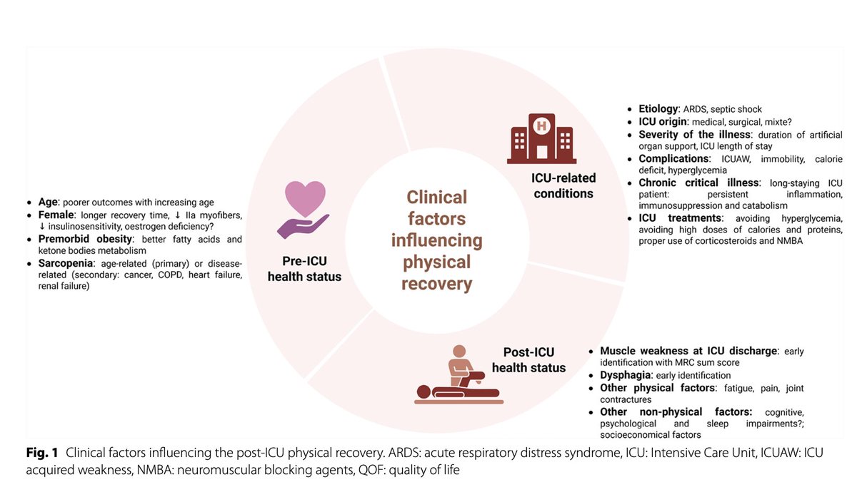 Peter Nydahl tweet media