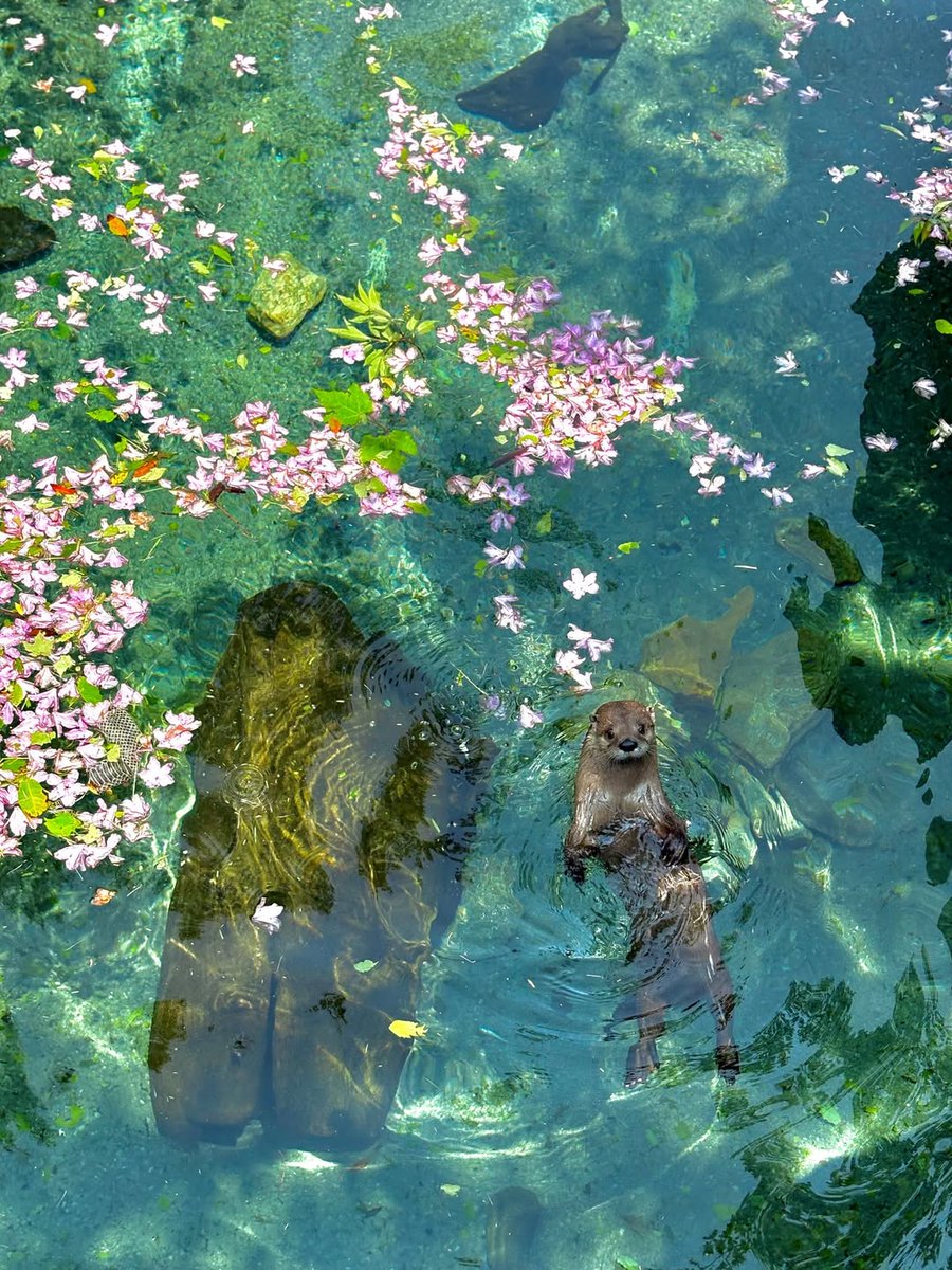 🌴 Vagrant 🌴 (@vagranttravels) on Twitter photo 