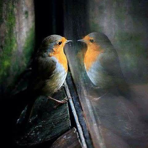 🌠"Açık sözlü İNsaN dan korkma, ON'dan zarar gelmez; kendini OL madığı bir İNsaN gibi gösterenden uzak dur.

Aleme gelen herkesin kendisi ile BİR L i kte gelen BİR YoL'daşı vardır.”

"ON'a değer vermek sizin de değerinizi yükseltir.

Şems-i mm (ks)

✨"Dünya'nın Telaşı bitmez."🌍