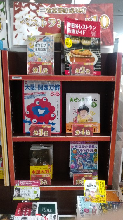 一般

1位　ポケモン生態図鑑（#ポケモン　#ちひろ）
2位　世田谷レストラン最強ガイド
3位　大阪・関西万博ぴあ
4位　大ピンチずかん　3　（#鈴木のりたけ）
5位　カフネ（#阿部暁子）