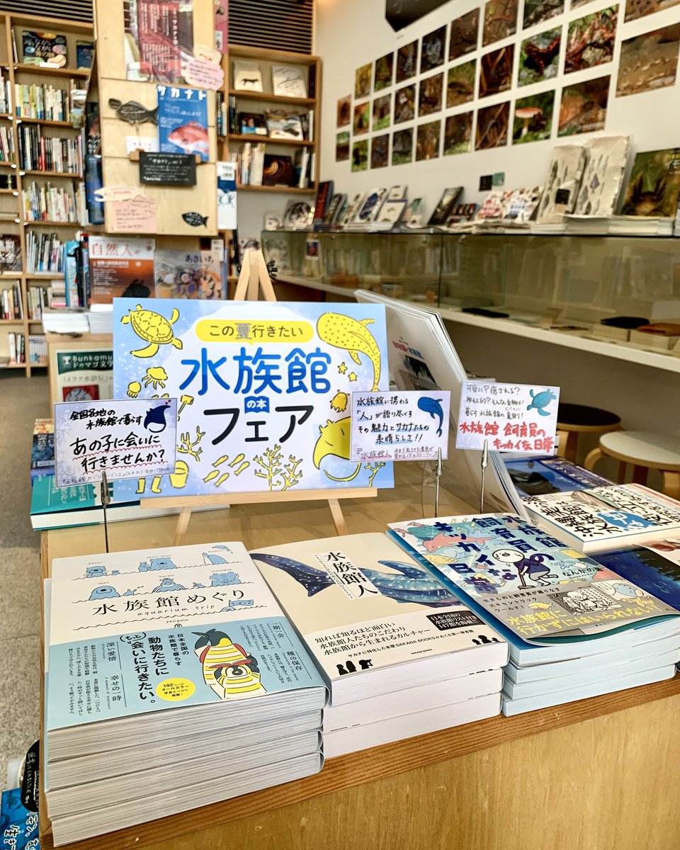 ひと足早くSAKANA BOOKSでも、水族館の本フェアを開始🐟ご来店お待ちし