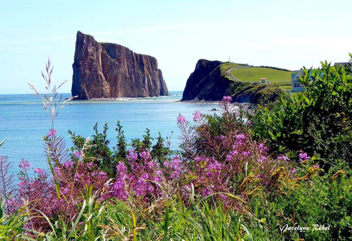 simontremblay81's tweet image. Paysage gaspésien... #Percé #Gaspésie #BeautéduQuébec
Crédit photo: Jocelyne Rehel