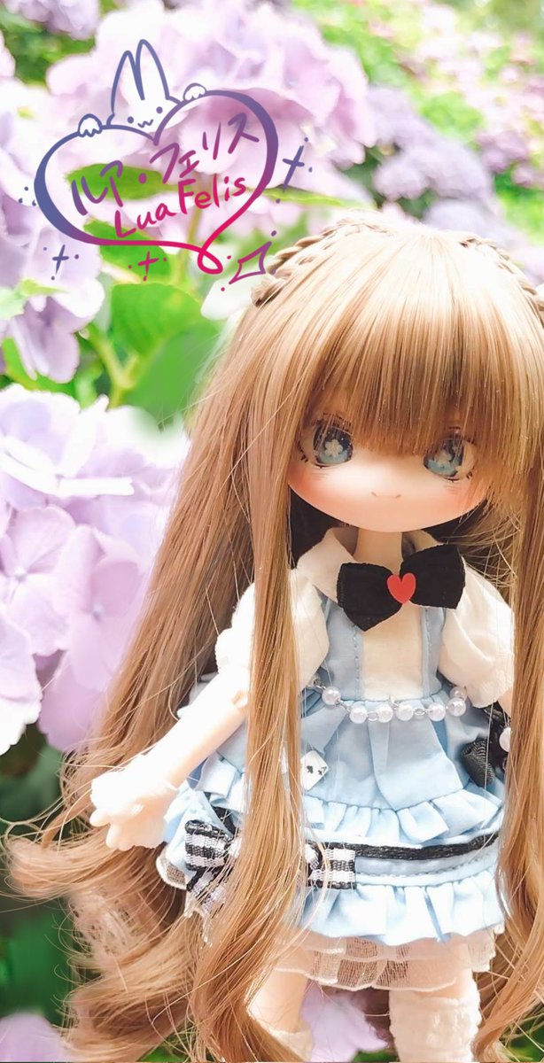 「この色とりどりの紫陽花、きっとぜんぶ魔法のパレットなのですよ～☆ ……ここからどんな魔法を描こうかな？ ちいさな幸せ、ひとつずつ重ねていくのです～♡」
#ドールオーナーさんと繋がりたい #うちのこかわいい