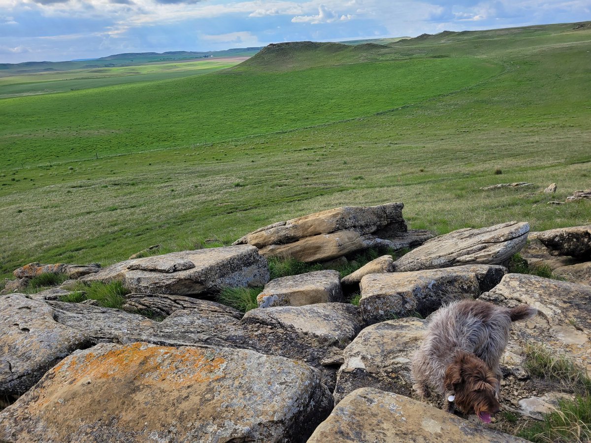 My whole ranch is deeded. But we've always known that they'll come for the public lands first, then for ours next. So screw 'em. We're fighting this.