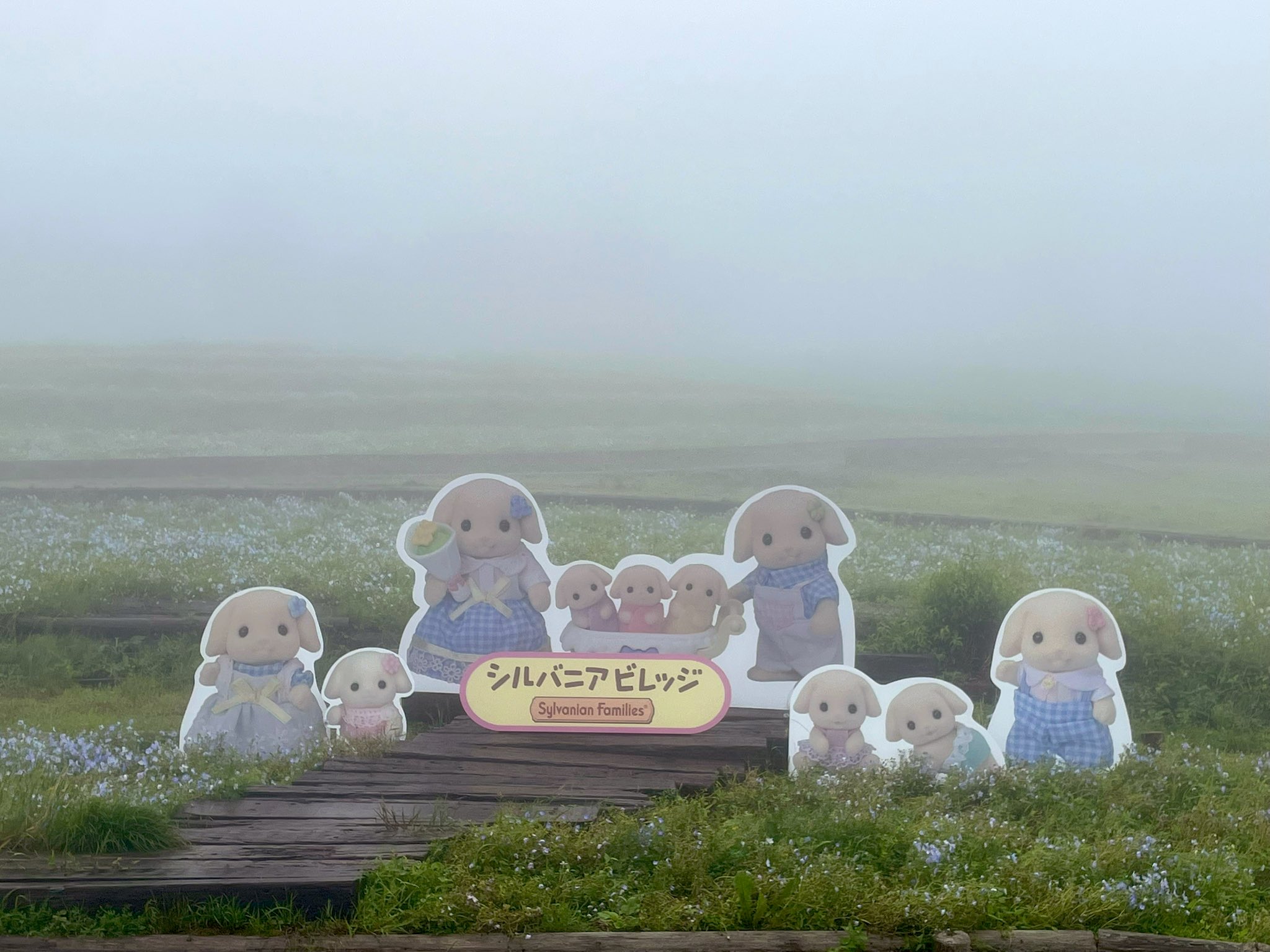 ✾✥miyuモモ✥✾ 大西桃香onishi momoka akb48 jpop