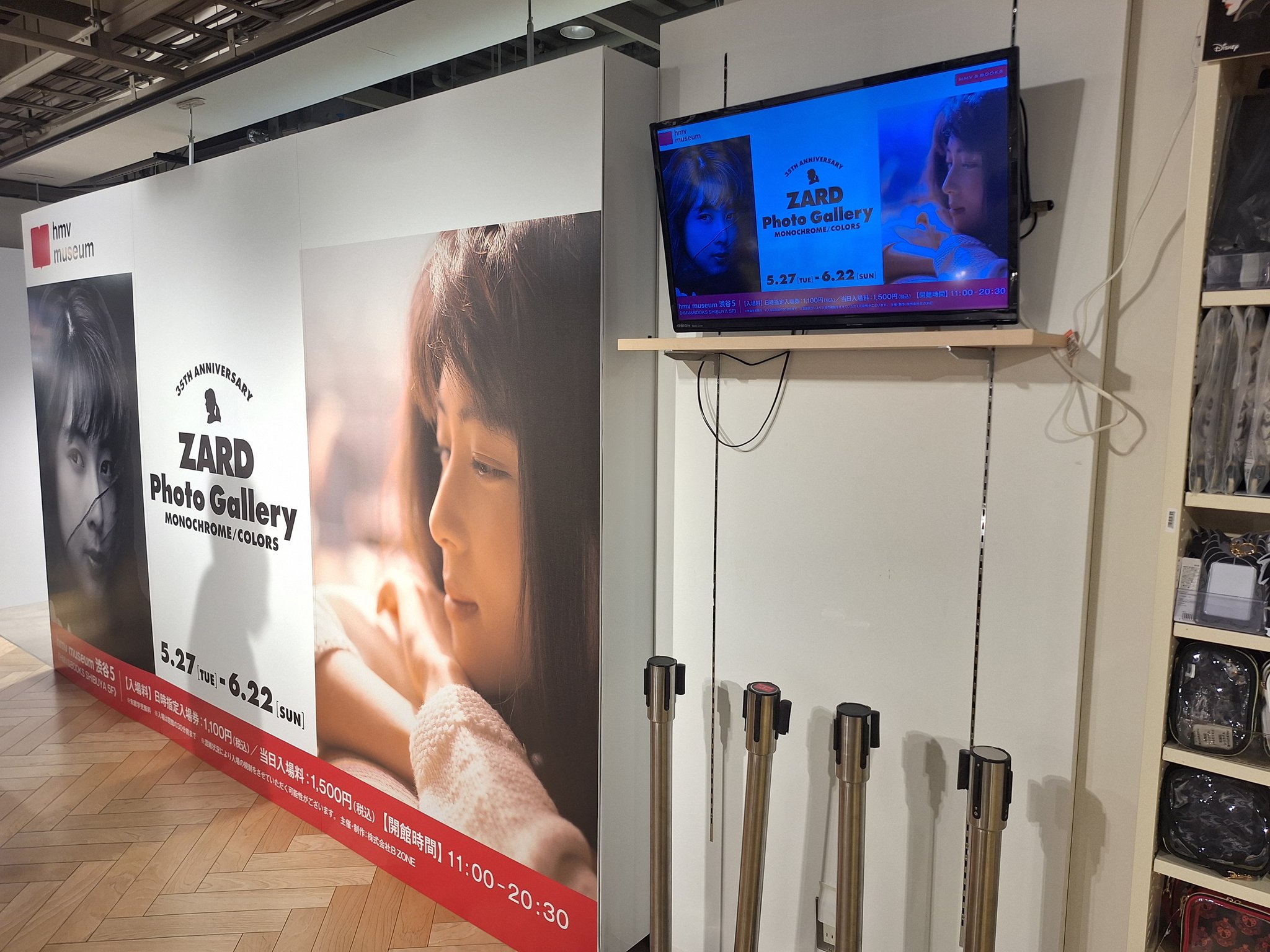 限定製作】 PANEL PHOTOGRAPHY ART 入手困難】ZARD の通販